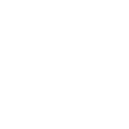 Vote-256